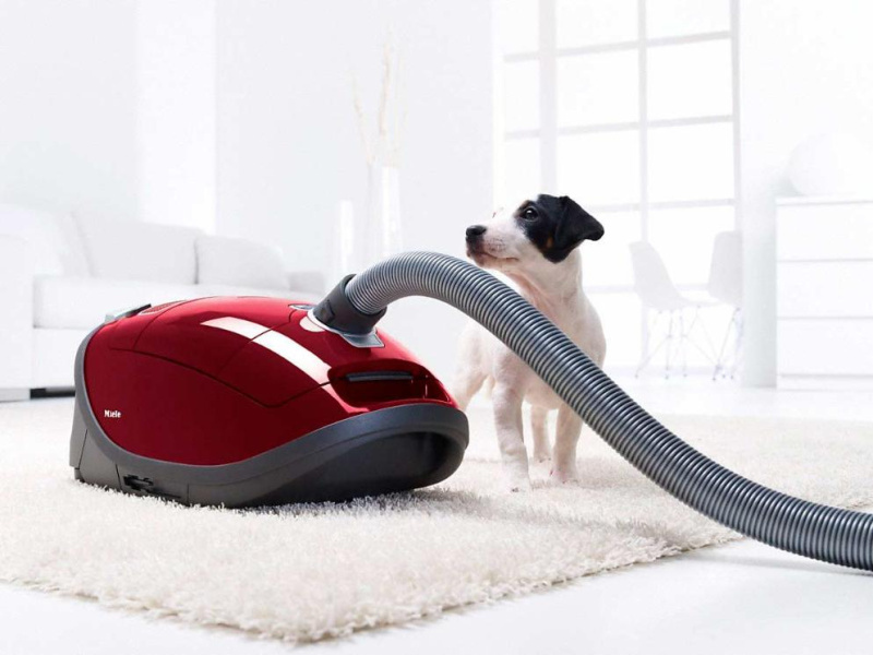 Пылесос Miele SGEA 3 Complete C3 Cat&Dog ежевичный красный